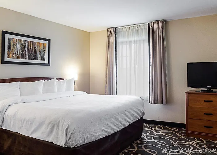 Hotel Mainstay - I-94 Medical Center